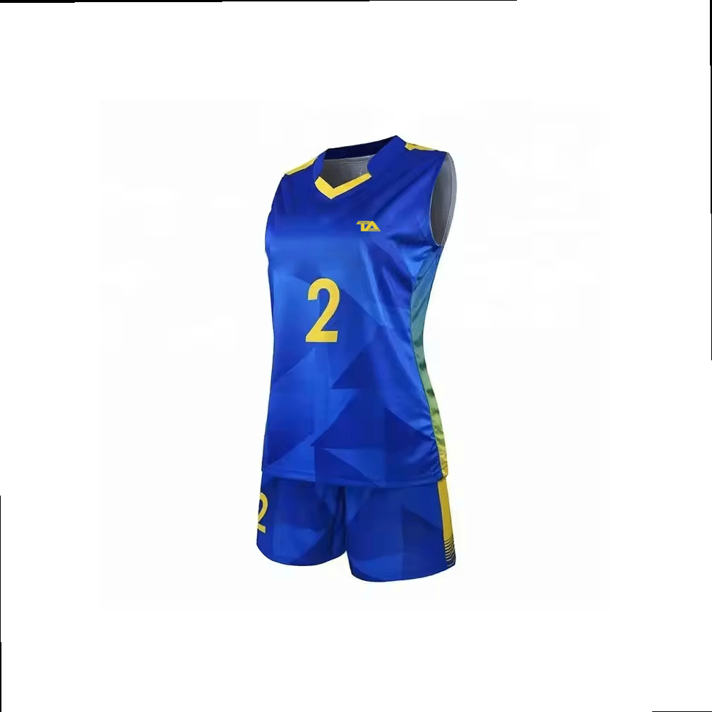 Volleyball